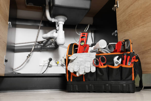 Best Plumbing Inspection Services  in Milford, DE